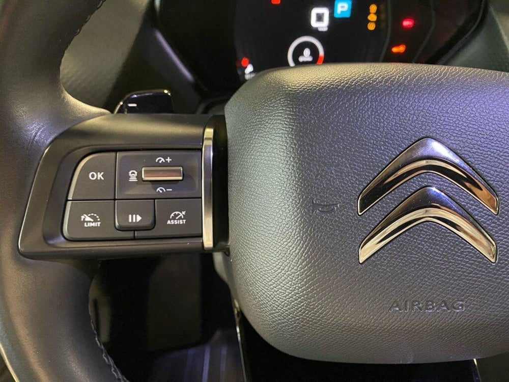 Citroen C5 X usata a Torino (13)