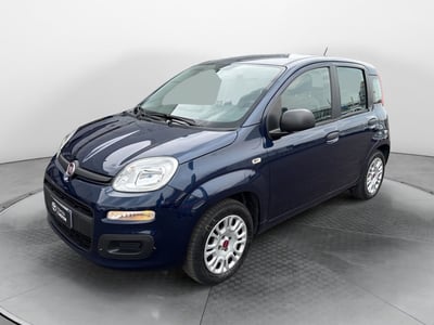 Fiat Panda 1.2 Pop del 2018 usata a San Giorgio e Bigarello
