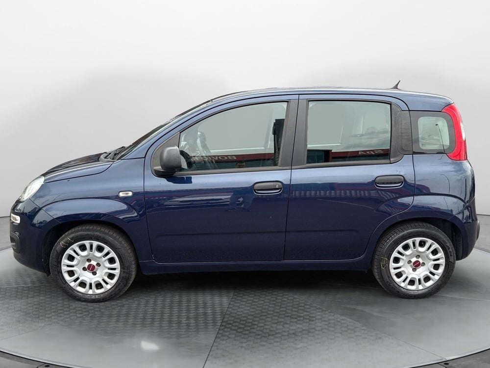 Fiat Panda usata a Mantova (2)