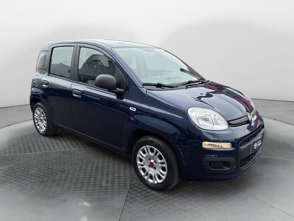 Fiat Panda usata a Mantova (8)