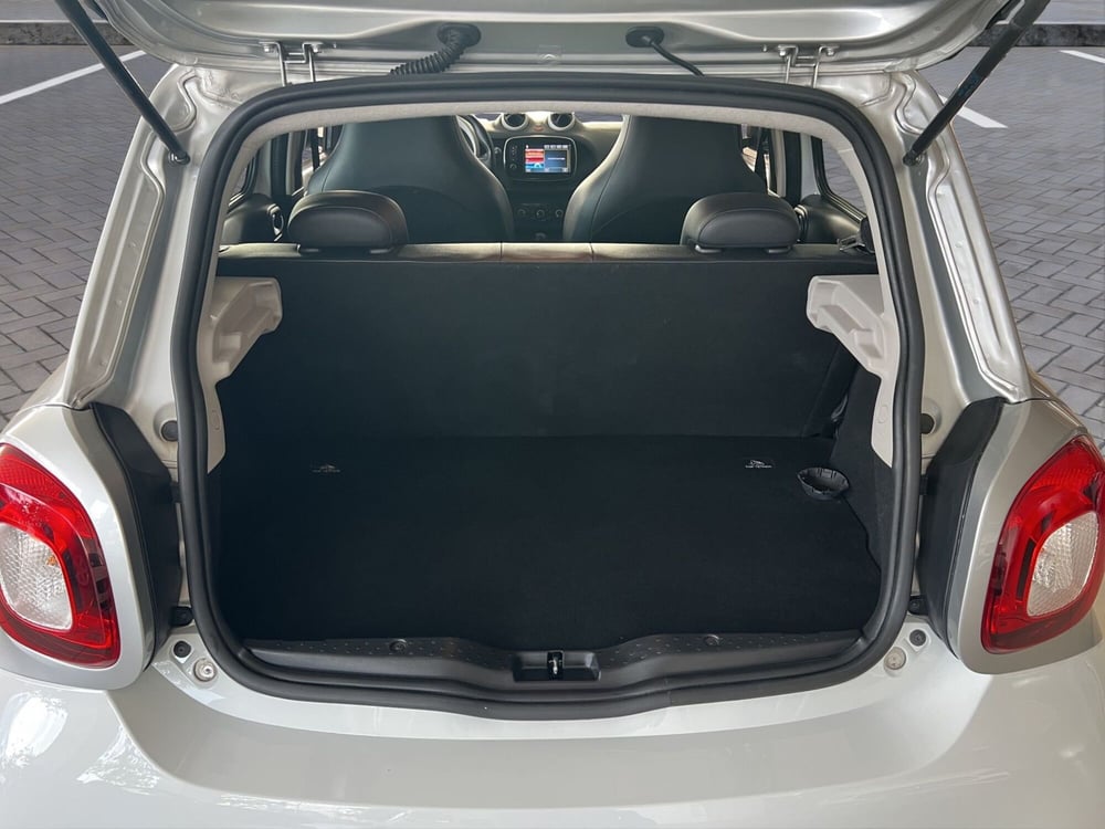 smart forfour usata a Cosenza (20)