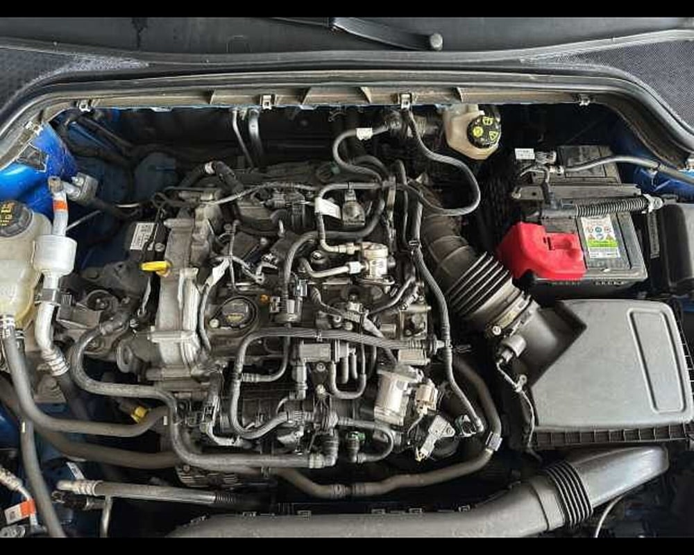 Ford Focus usata a Roma (10)