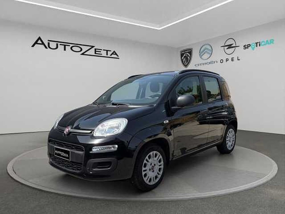 Fiat Panda usata a Vibo Valentia