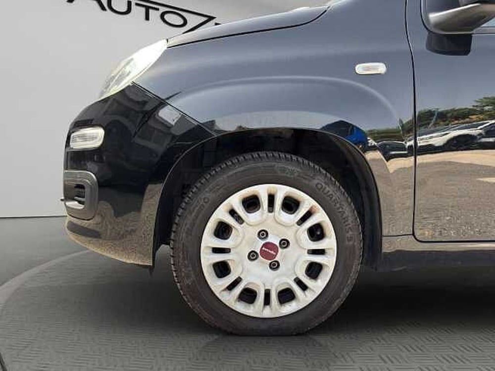 Fiat Panda usata a Vibo Valentia (16)