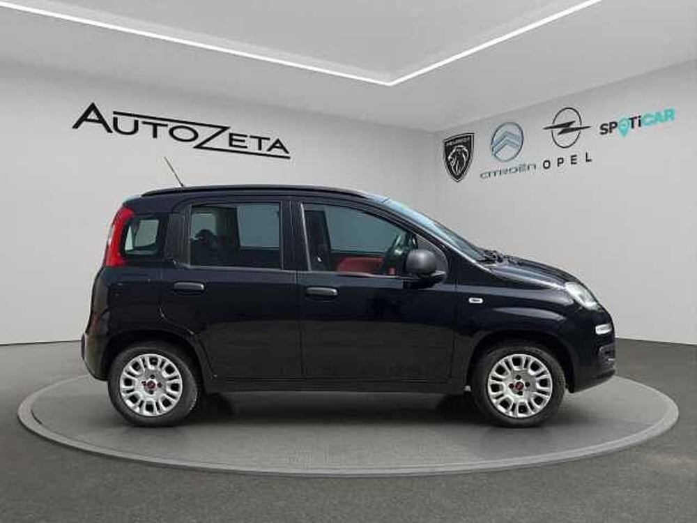 Fiat Panda usata a Vibo Valentia (4)