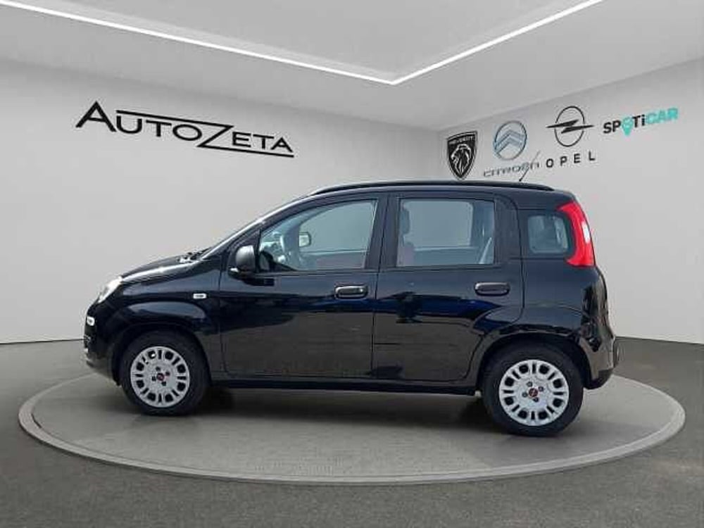 Fiat Panda usata a Vibo Valentia (7)