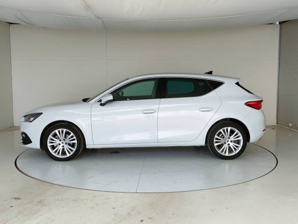 SEAT Leon usata a Teramo (3)
