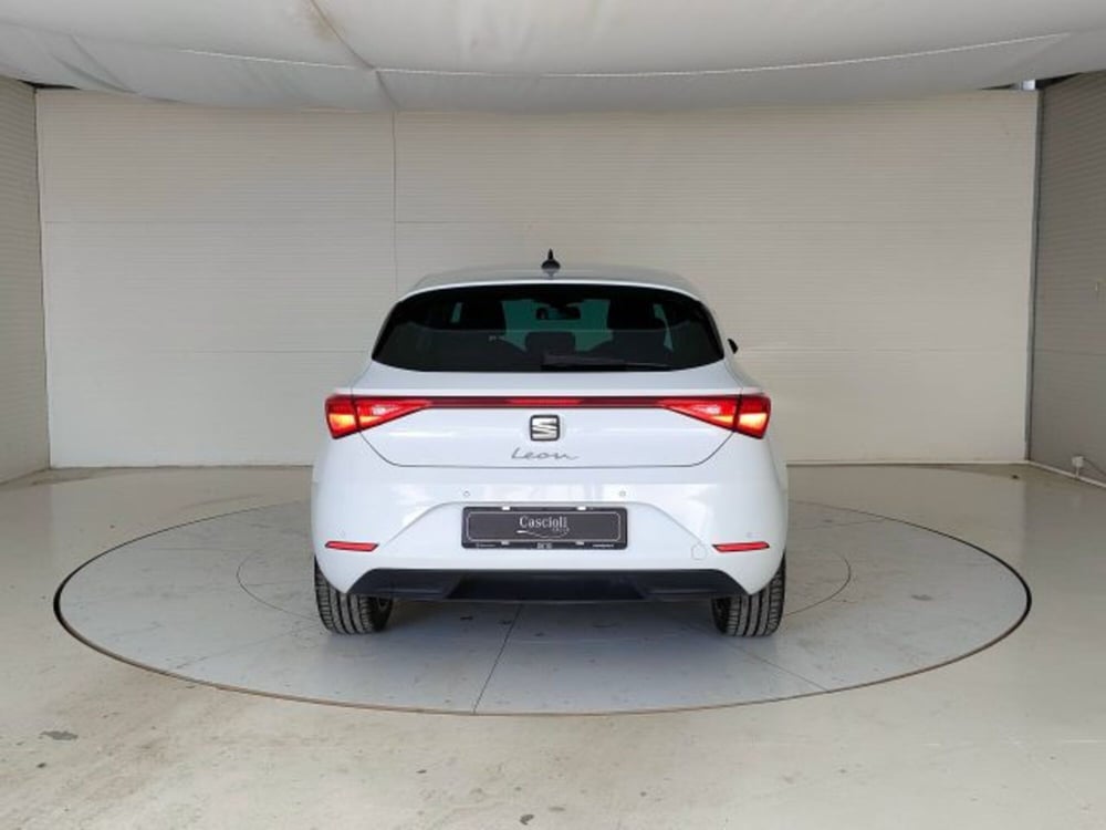 SEAT Leon usata a Teramo (4)