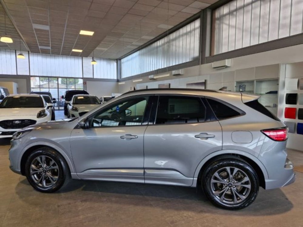 Ford Kuga usata a Bologna (2)