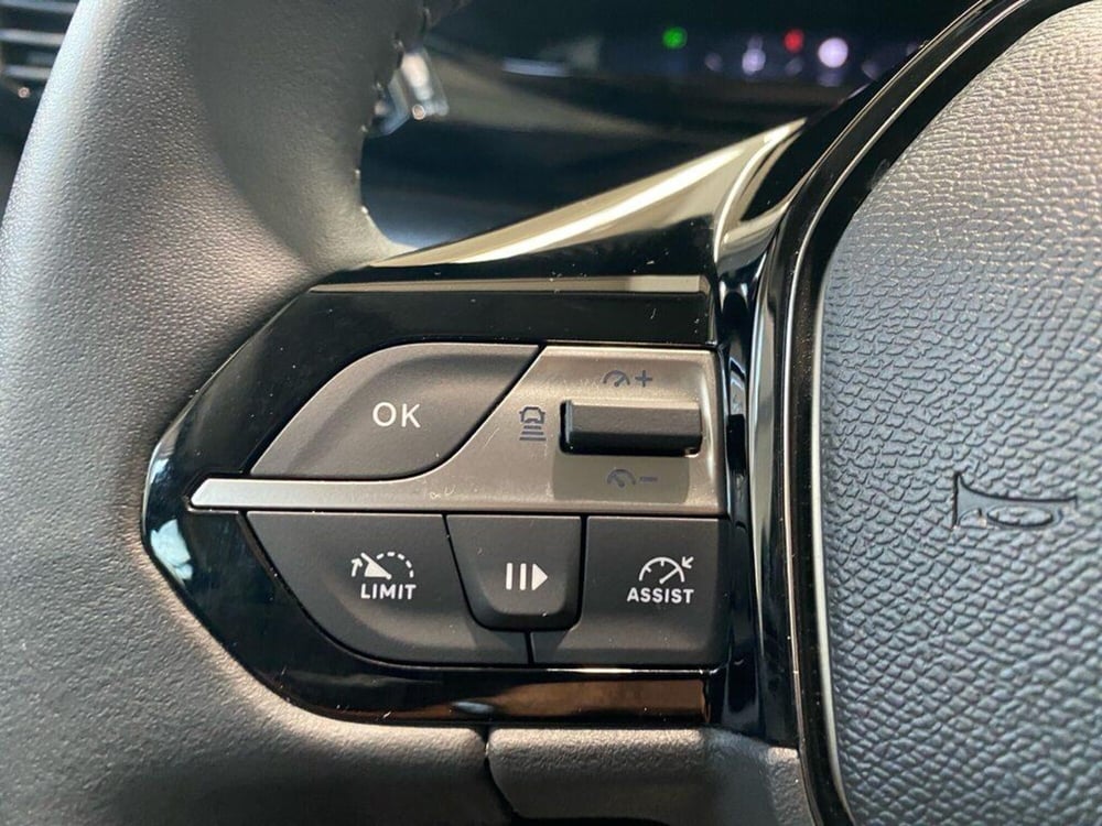 Peugeot 308 SW usata a Torino (12)