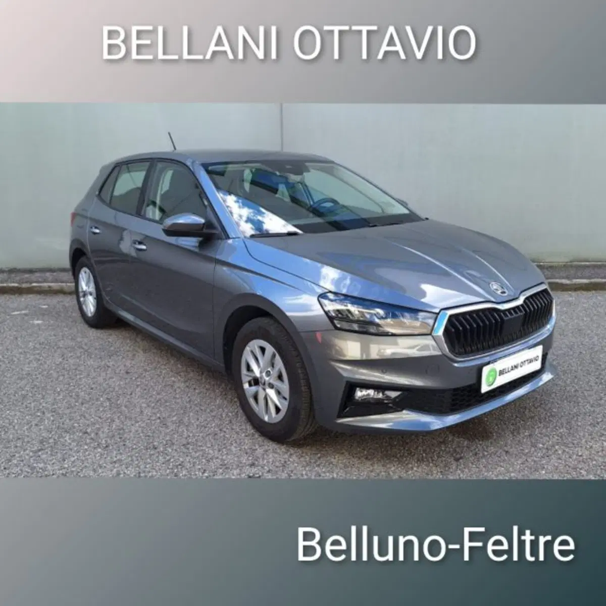 Skoda Fabia usata a Belluno