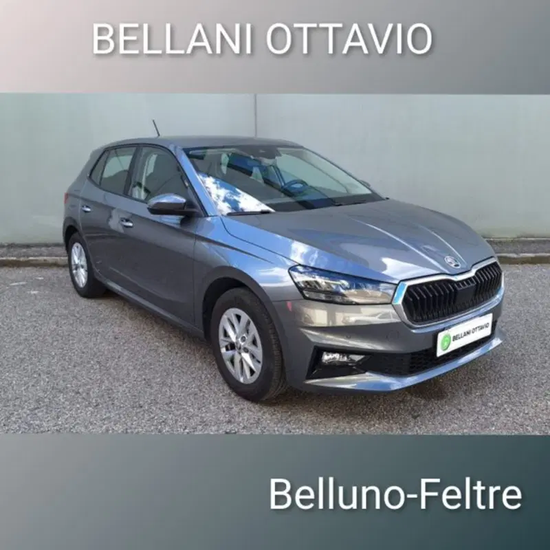 Skoda Fabia usata a Belluno