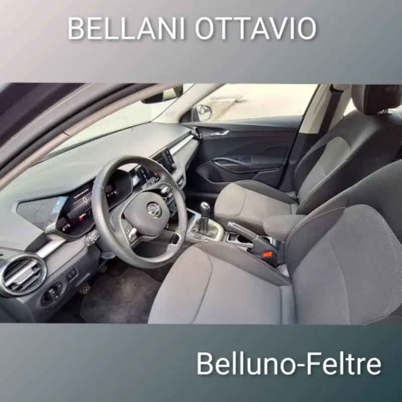 Skoda Fabia usata a Belluno (10)