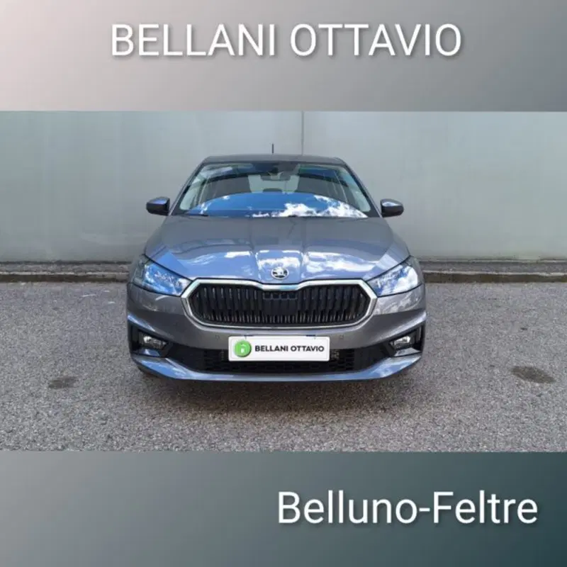 Skoda Fabia usata a Belluno (2)