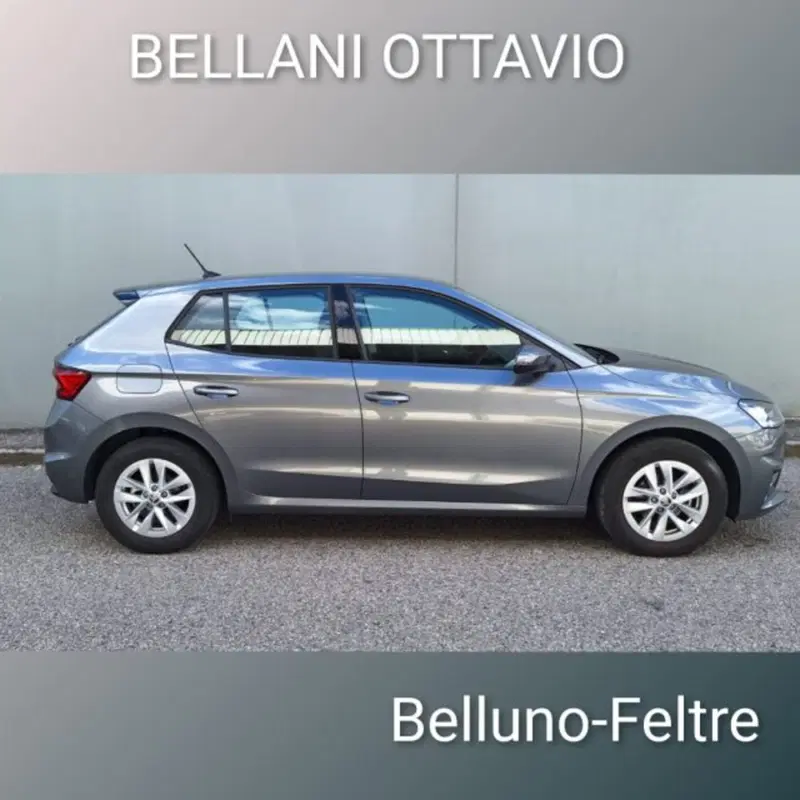 Skoda Fabia usata a Belluno (3)