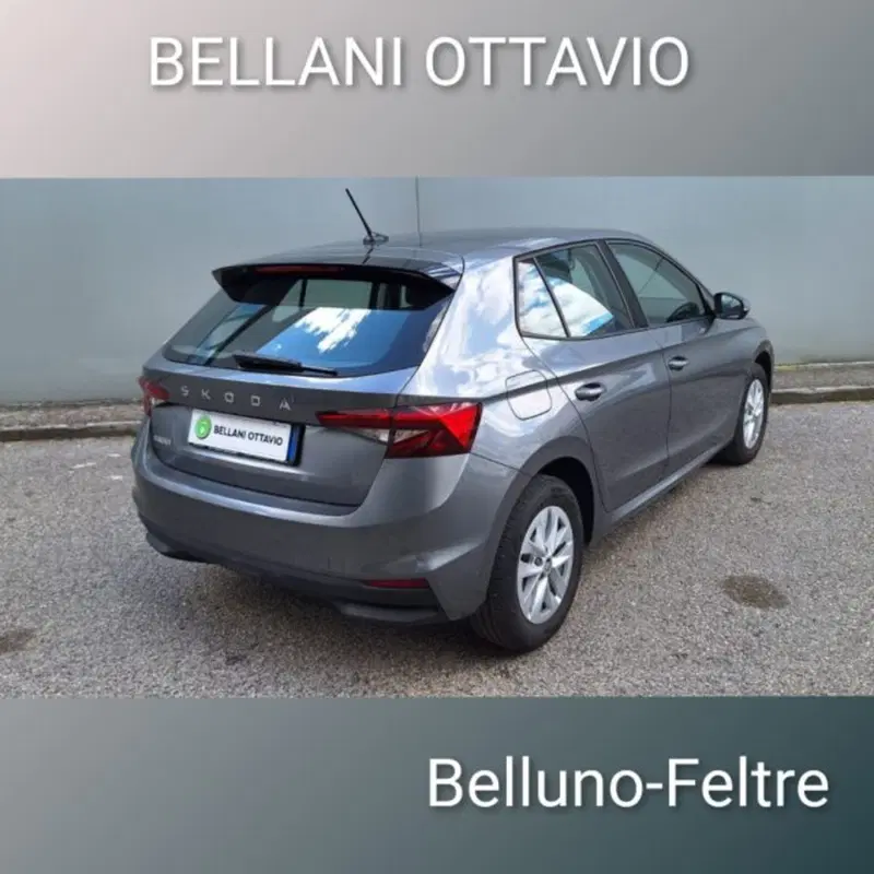 Skoda Fabia usata a Belluno (5)