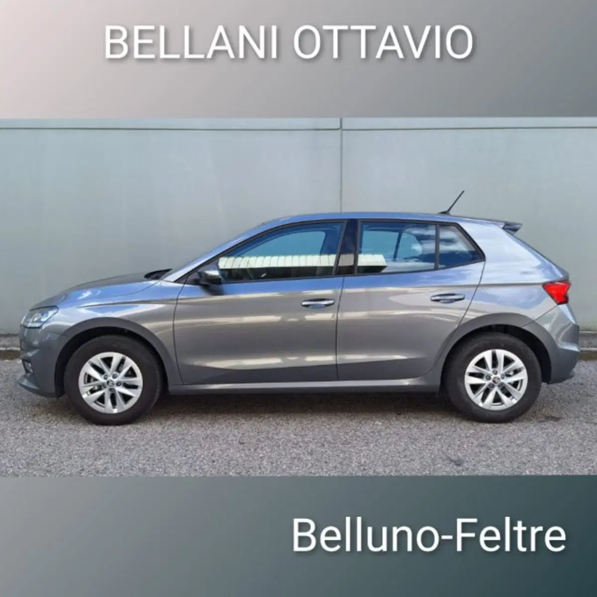 Skoda Fabia usata a Belluno (6)