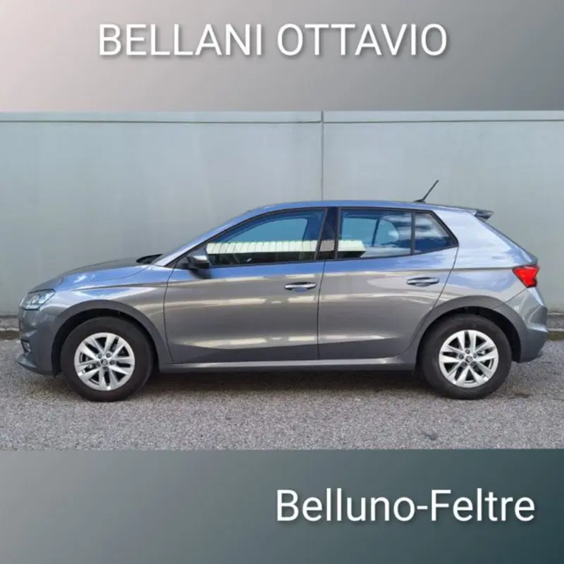 Skoda Fabia usata a Belluno (6)