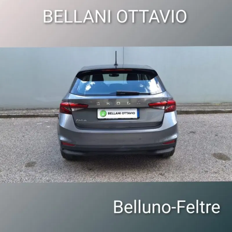 Skoda Fabia usata a Belluno (7)