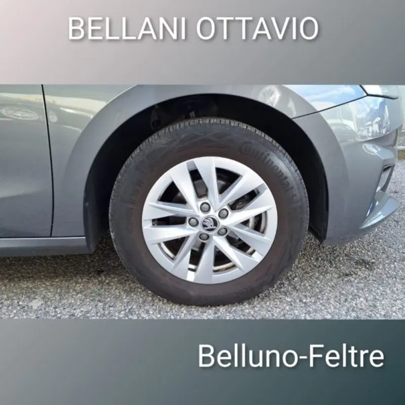 Skoda Fabia usata a Belluno (8)
