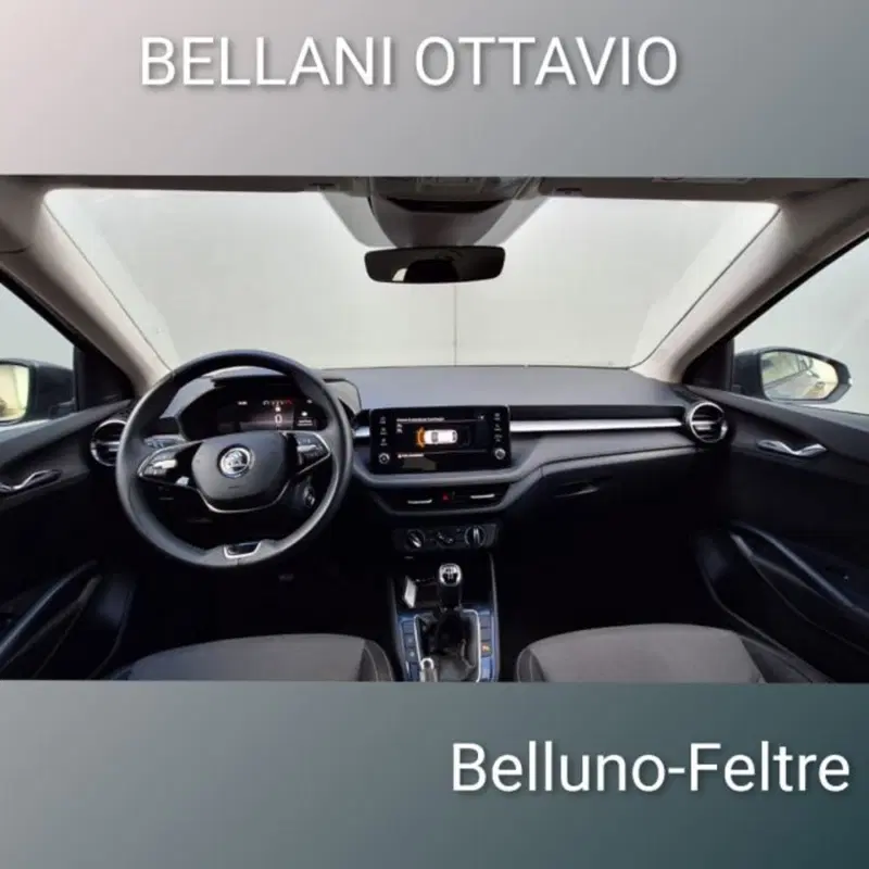 Skoda Fabia usata a Belluno (9)