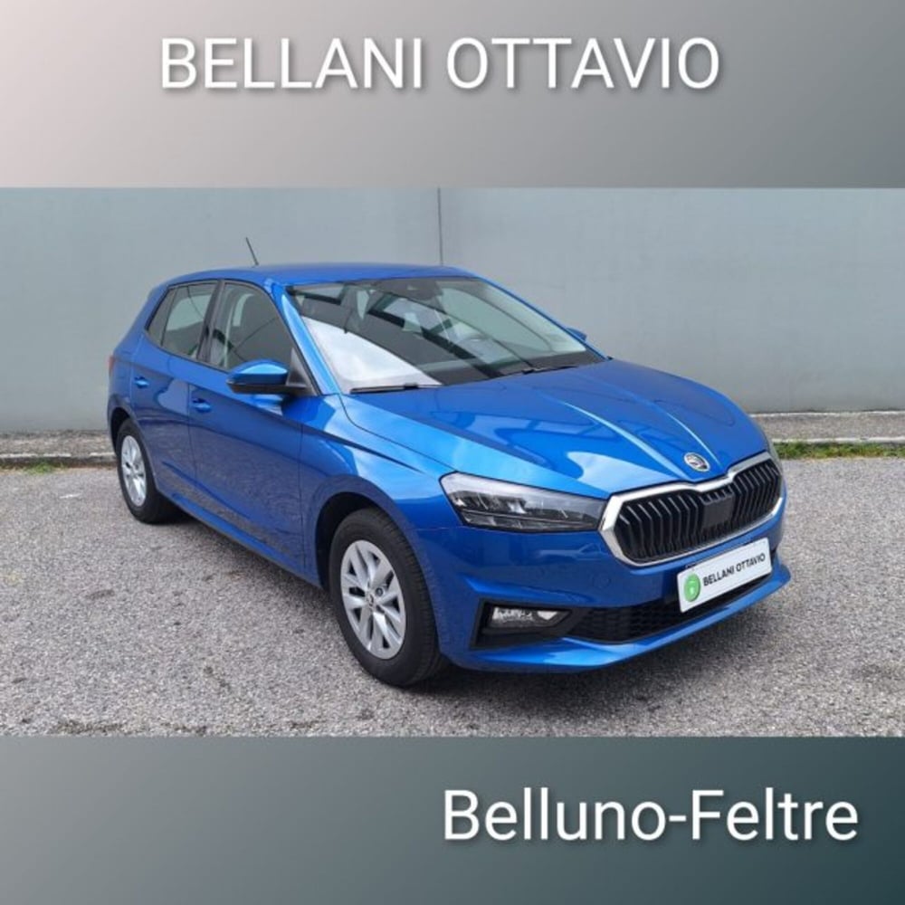 Skoda Fabia usata a Belluno