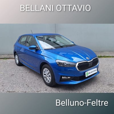 Skoda Fabia 1.0 mpi evo Selection 80cv del 2024 usata a Feltre