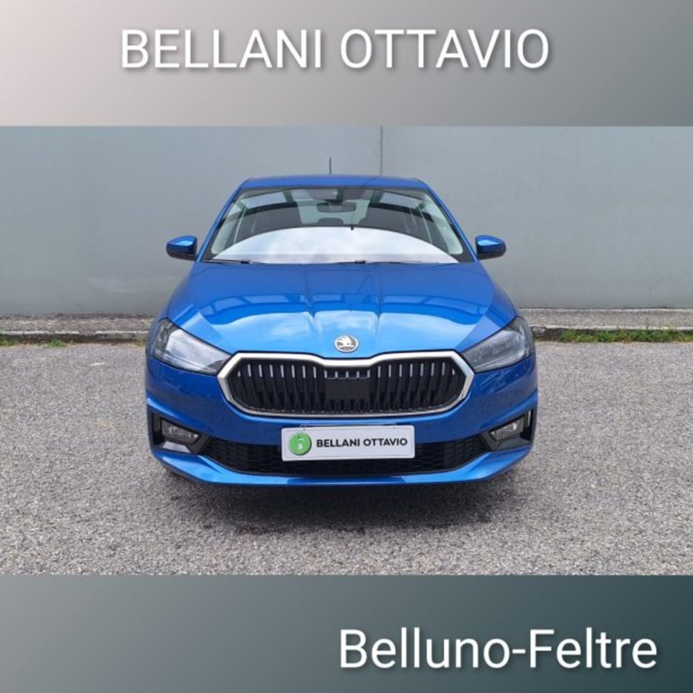 Skoda Fabia usata a Belluno (2)