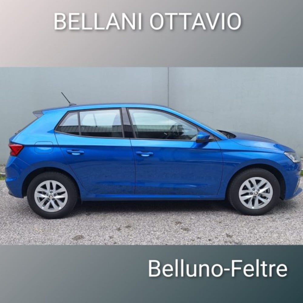 Skoda Fabia usata a Belluno (3)