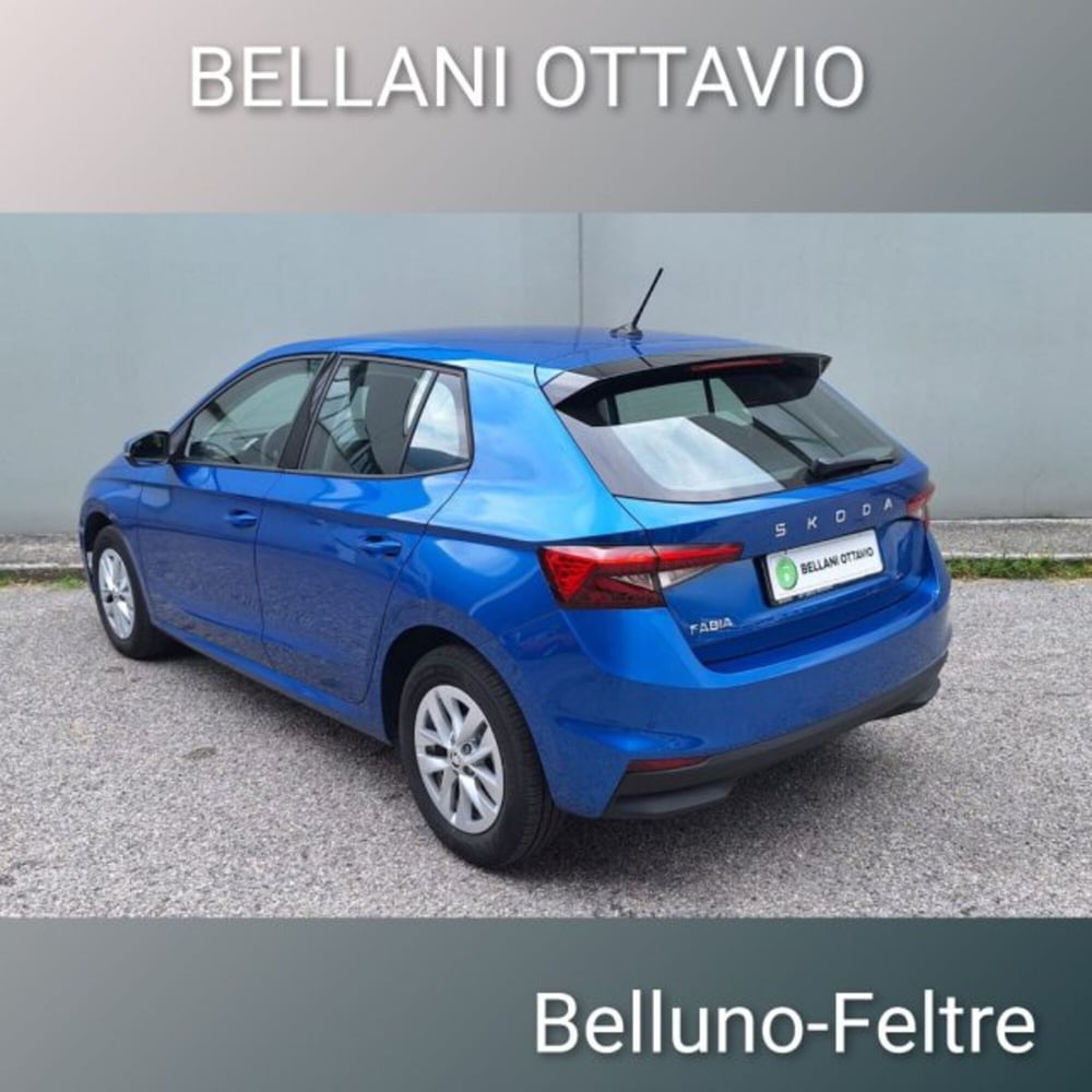 Skoda Fabia usata a Belluno (4)