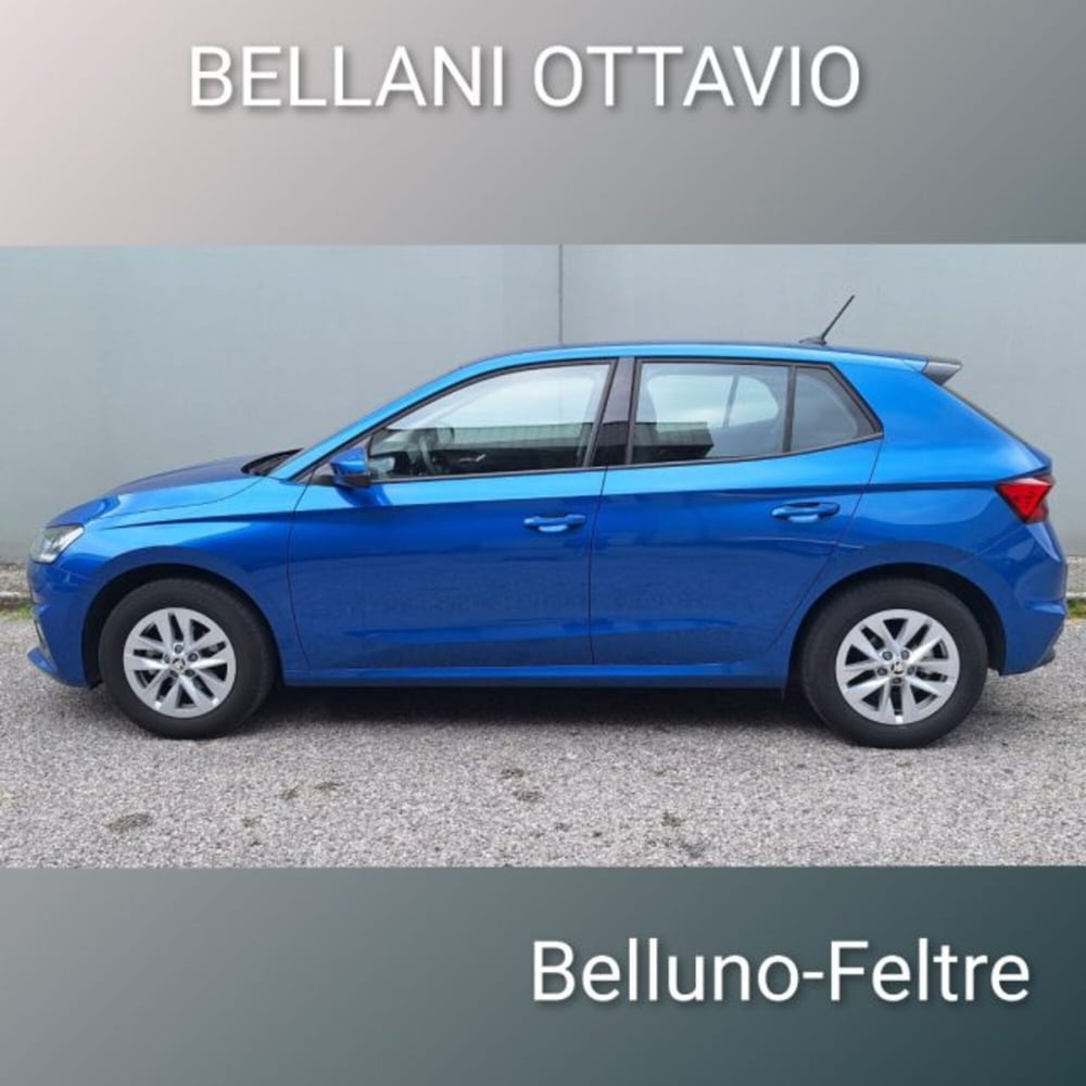 Skoda Fabia usata a Belluno (5)
