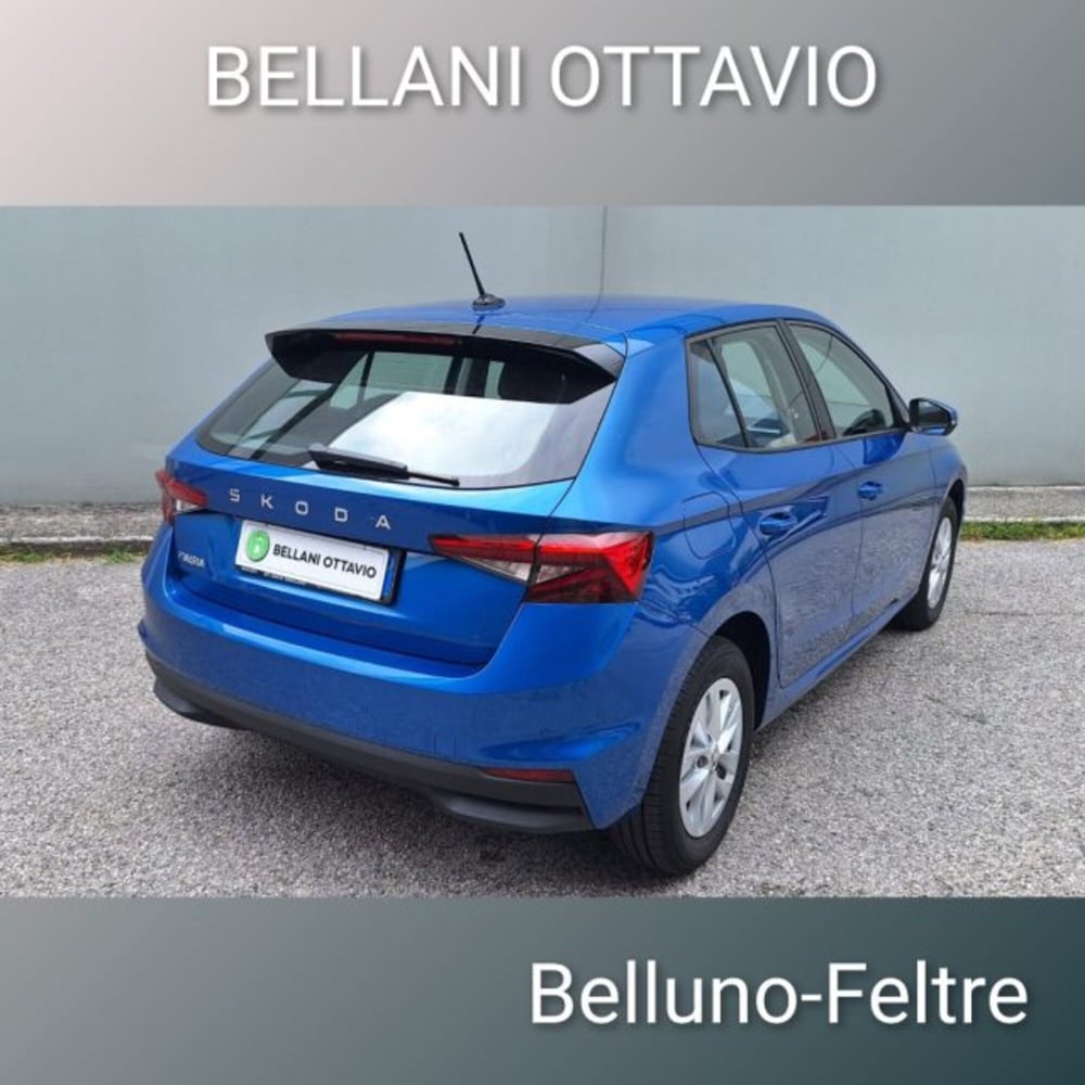Skoda Fabia usata a Belluno (6)