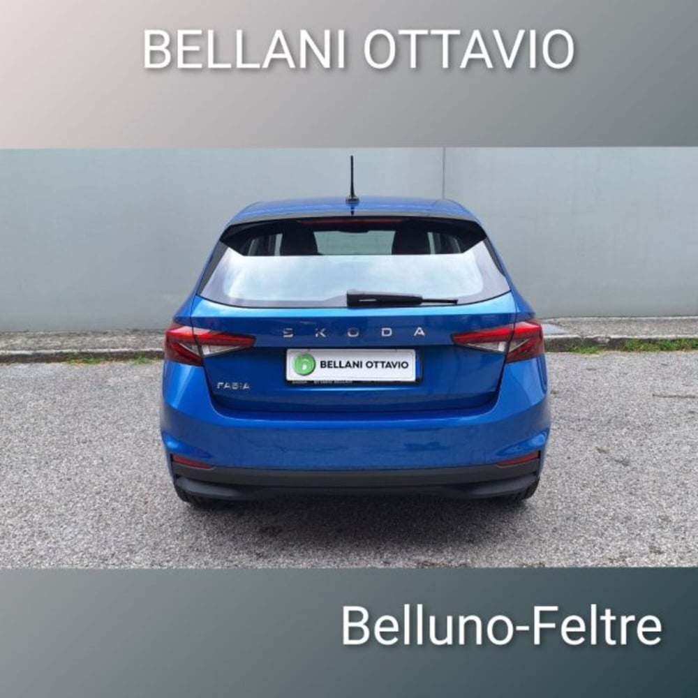 Skoda Fabia usata a Belluno (7)