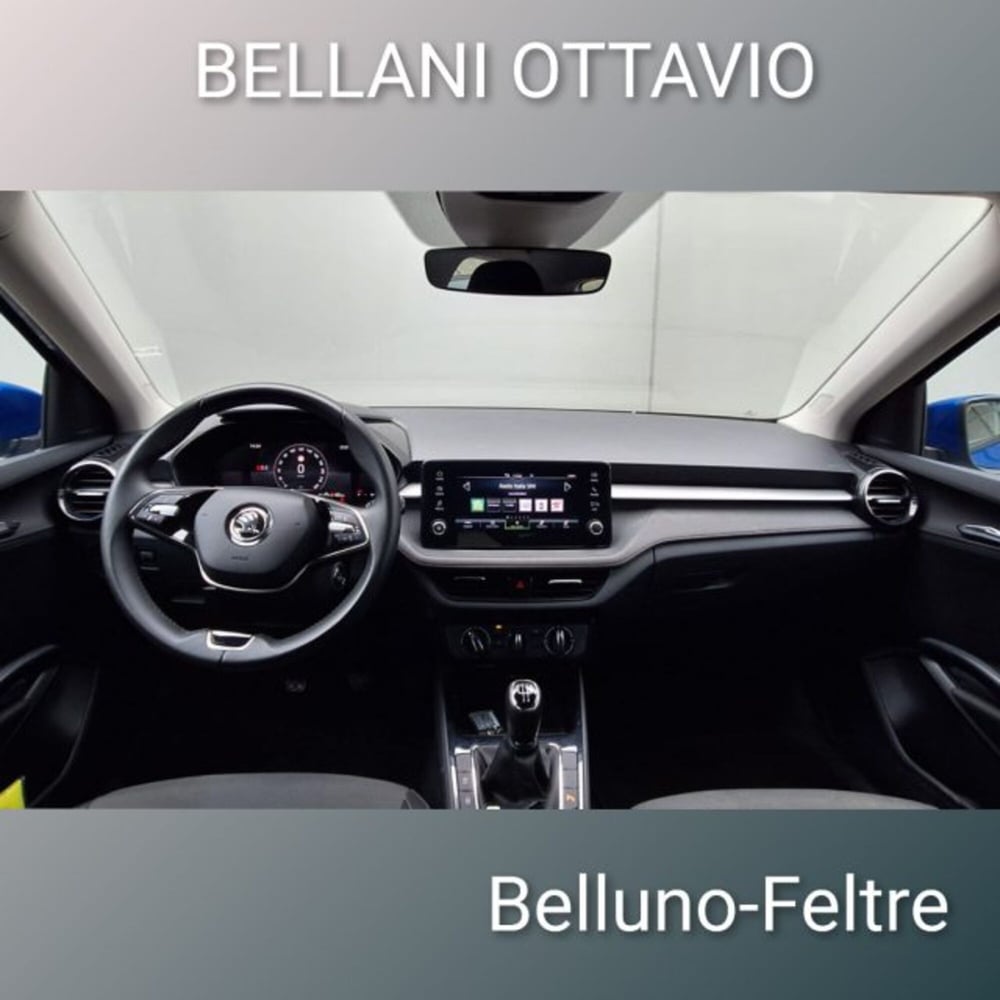 Skoda Fabia usata a Belluno (9)
