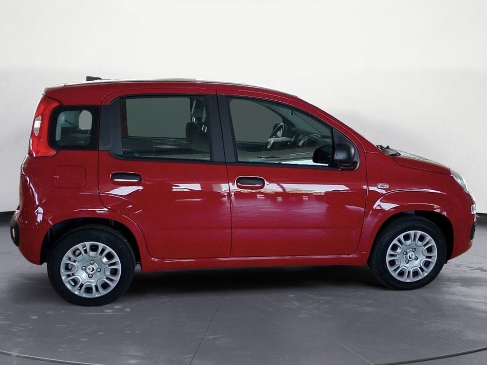 Fiat Panda Cross nuova a Lecce (7)
