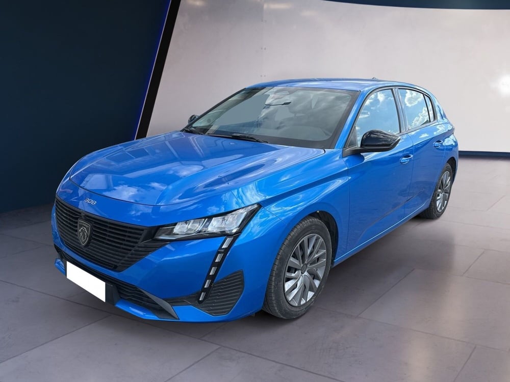 Peugeot 308 usata a Torino (2)