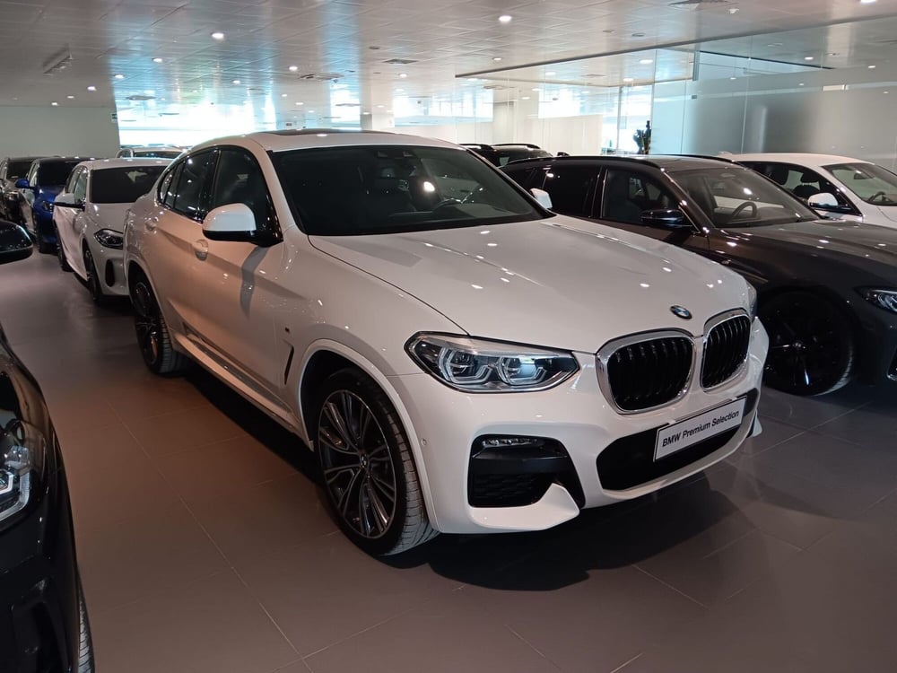 BMW X4 usata a Asti (4)