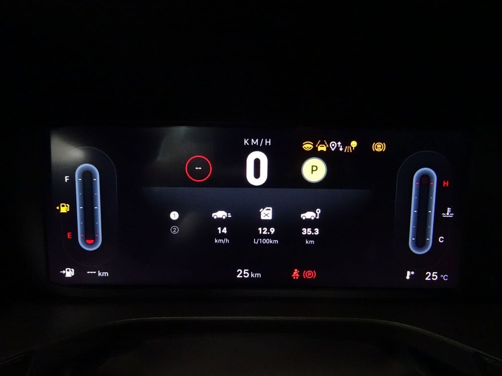Fiat Grande Panda nuova a Venezia (8)