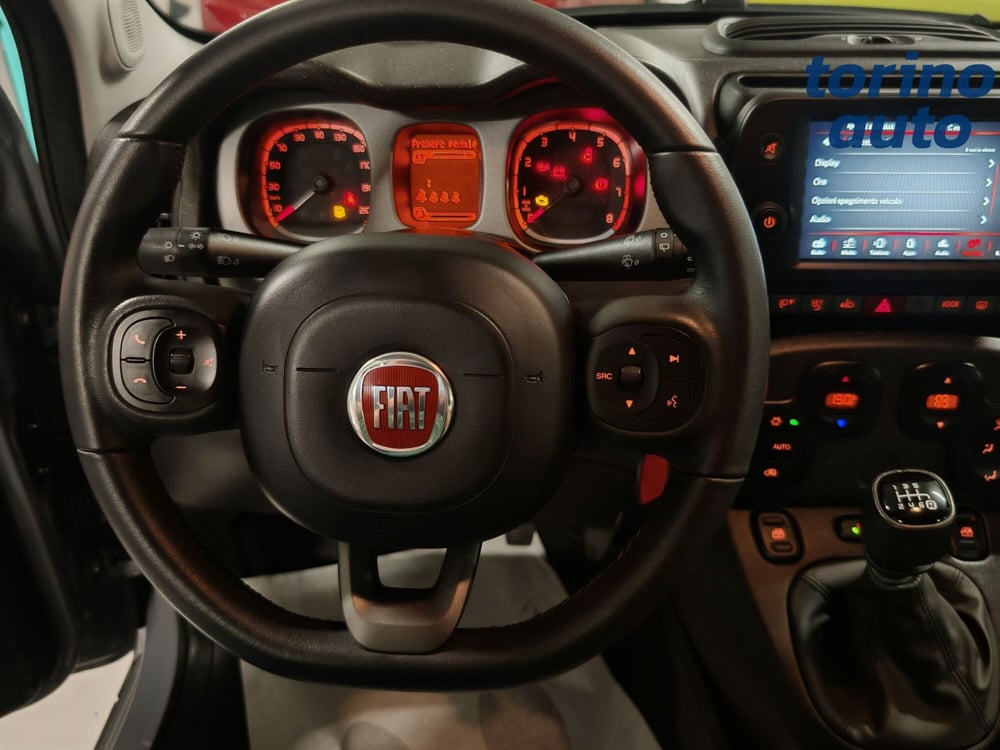 Fiat Panda Cross usata a Torino (11)