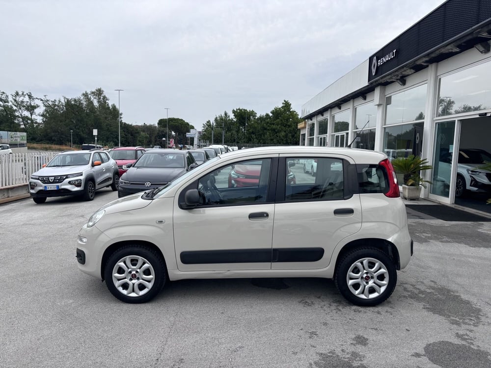 Fiat Panda usata a Ancona (8)