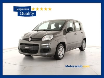Fiat Panda 1.0 firefly hybrid s&amp;s 70cv 5p.ti del 2021 usata a Modena