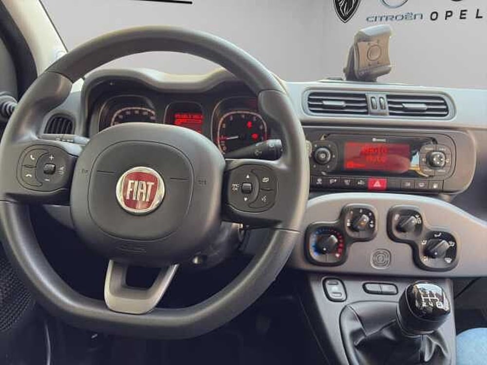 Fiat Panda usata a Vibo Valentia (13)