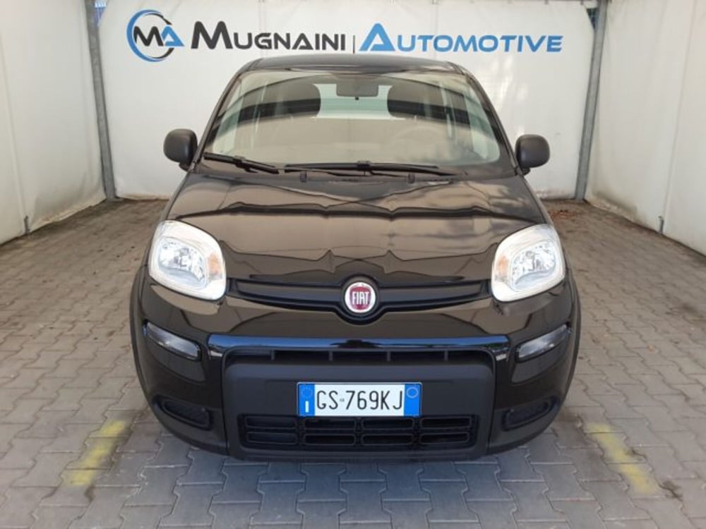 Fiat Panda usata a Firenze