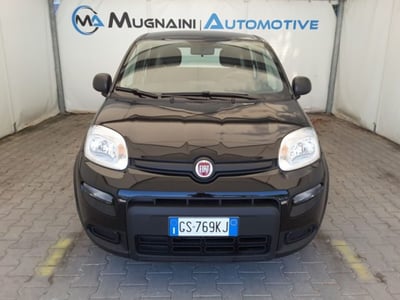 Fiat Panda 1.0 firefly hybrid s&amp;s 70cv 5p.ti del 2024 usata a Firenze