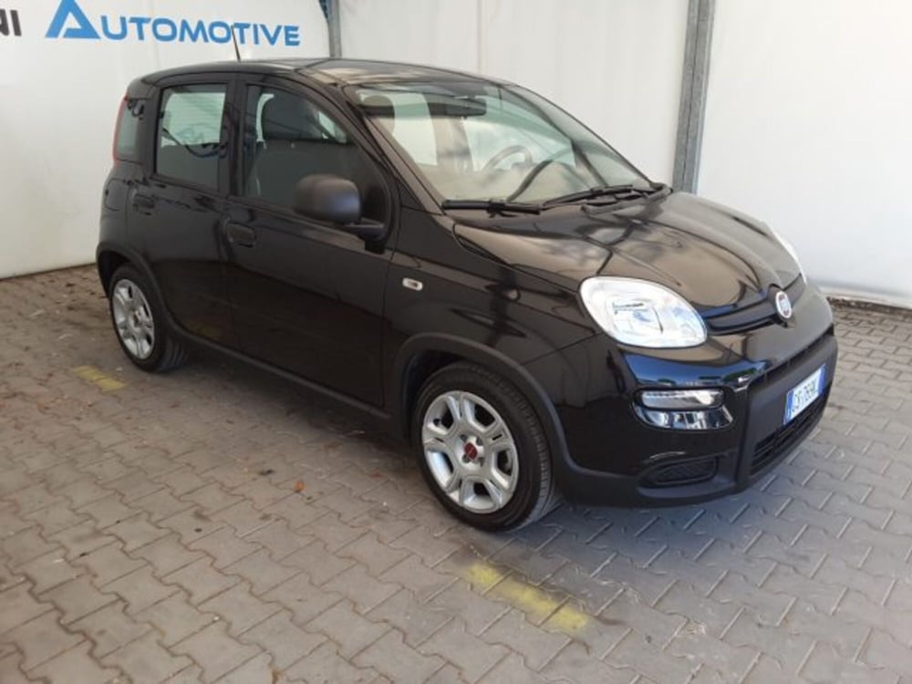 Fiat Panda usata a Firenze (2)