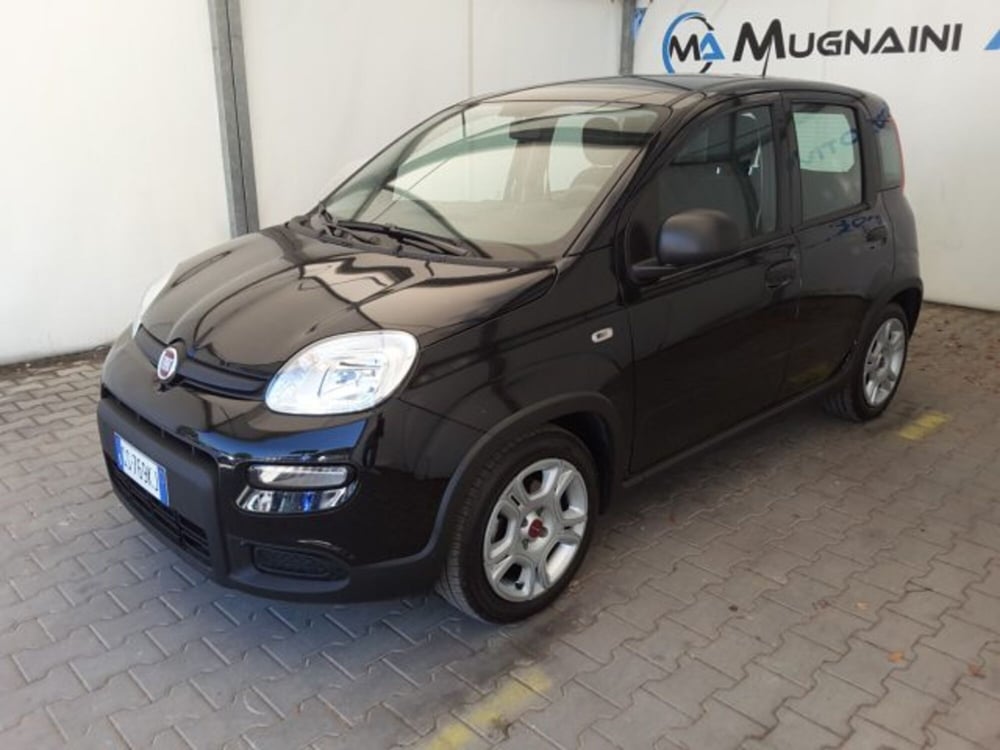 Fiat Panda usata a Firenze (3)