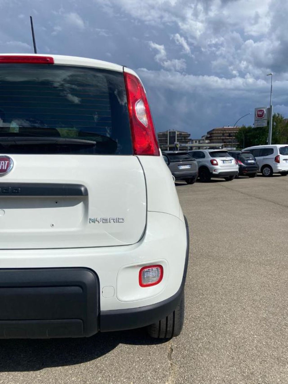 Fiat Panda nuova a Firenze (17)