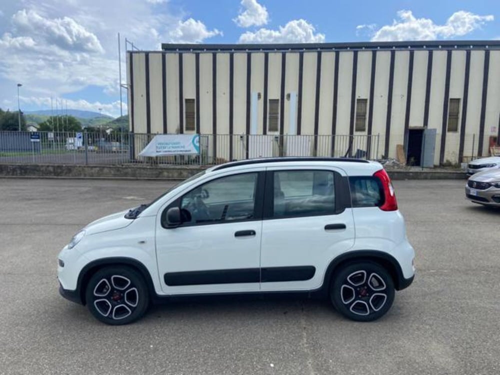 Fiat Panda nuova a Firenze (19)