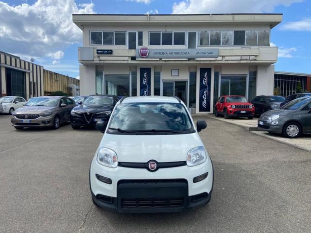 Fiat Panda nuova a Firenze (2)