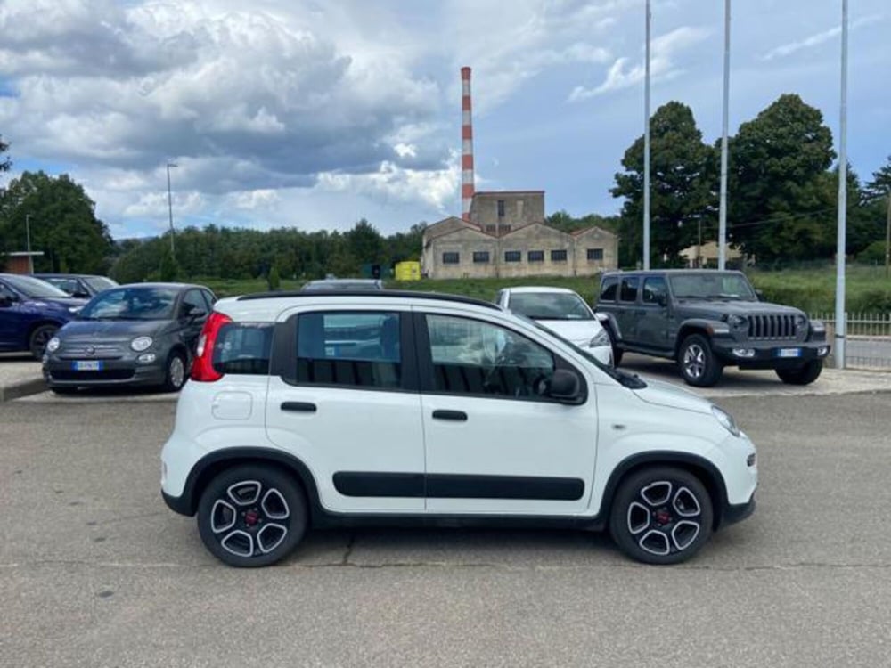 Fiat Panda nuova a Firenze (4)
